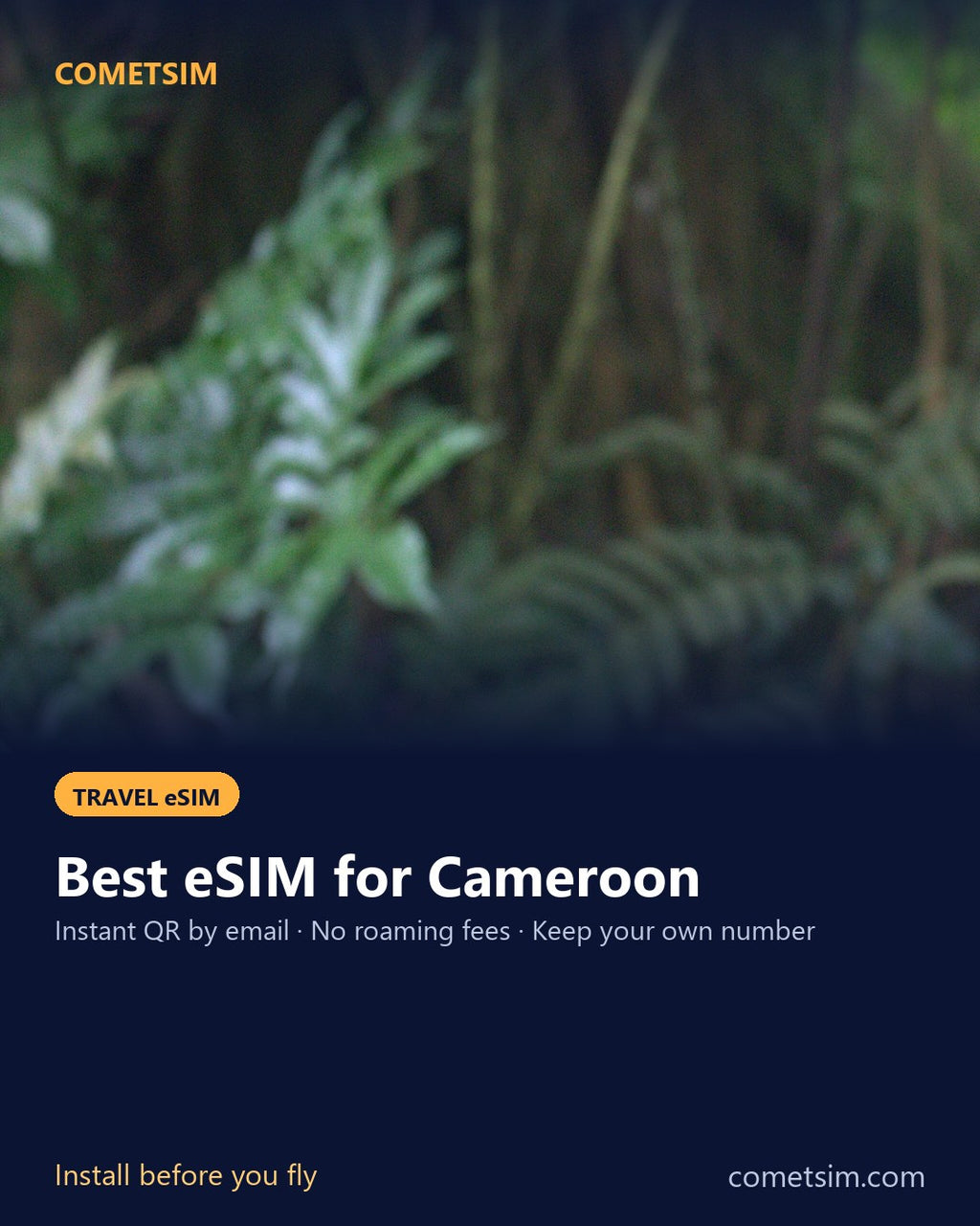 Cameroon travel eSIM – instant QR, no roaming fees