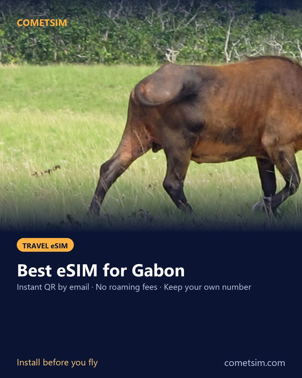Gabon travel eSIM – instant QR, no roaming fees