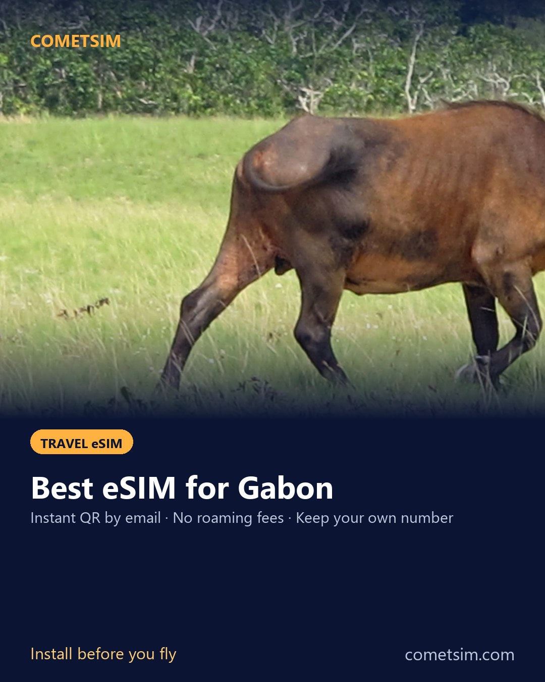 Gabon travel eSIM – instant QR, no roaming fees