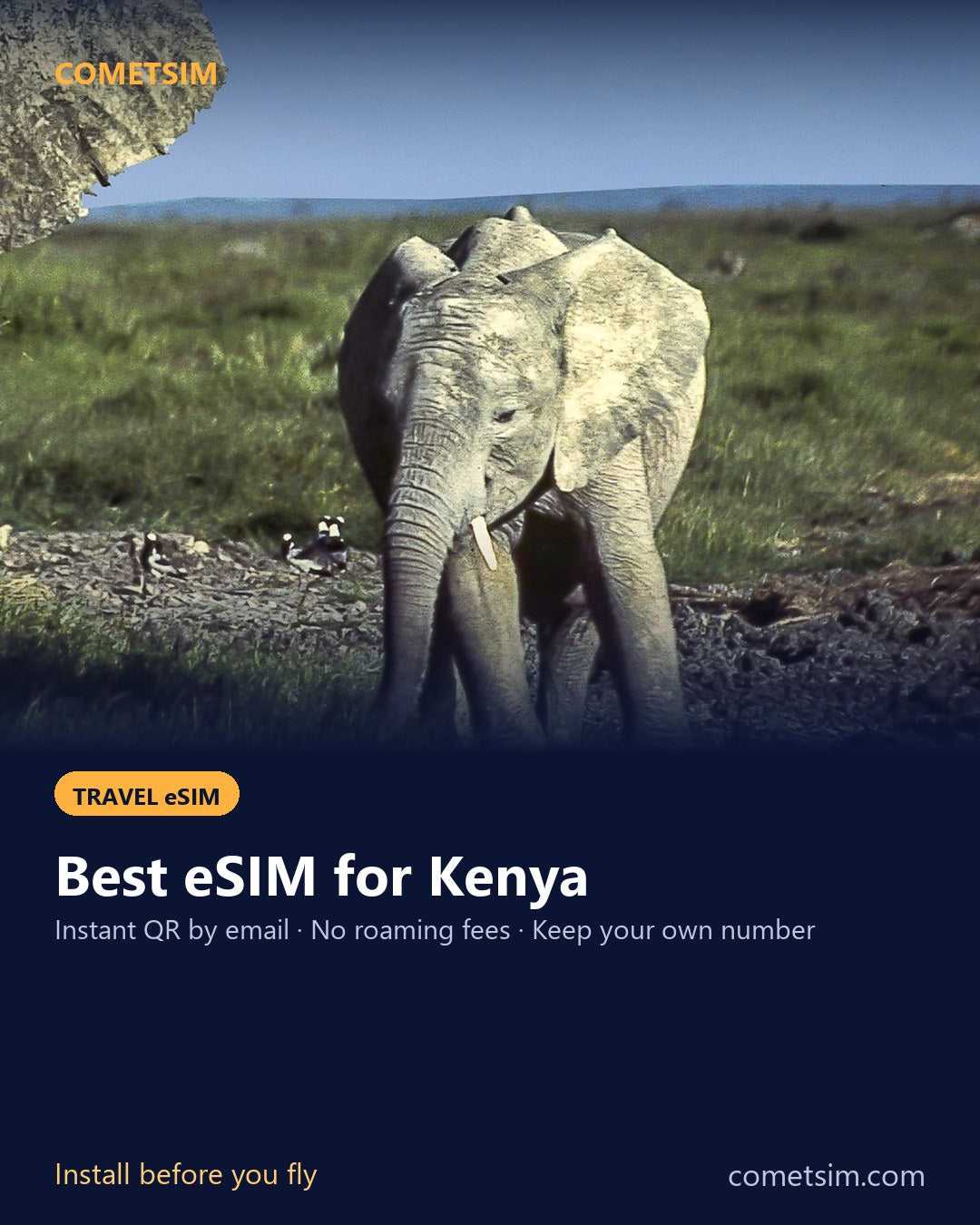 Kenya travel eSIM – instant QR, no roaming fees