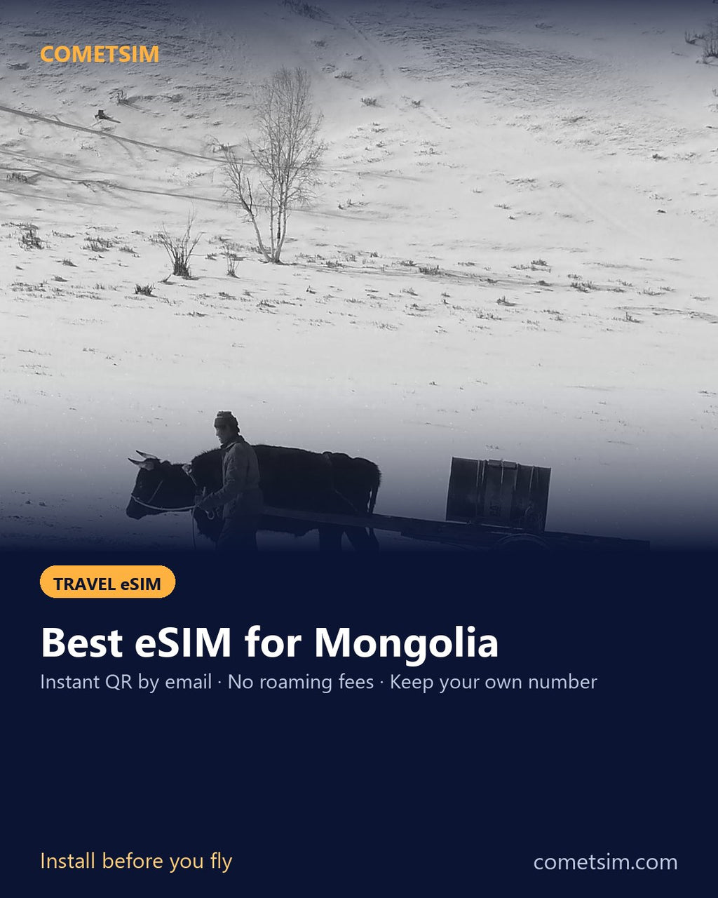 Mongolia travel eSIM – instant QR, no roaming fees