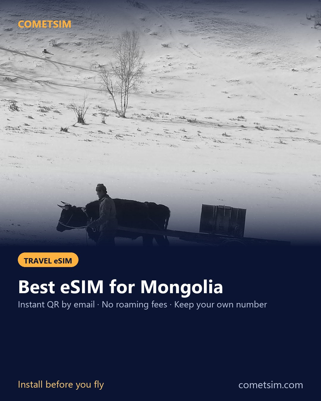 Mongolia travel eSIM – instant QR, no roaming fees
