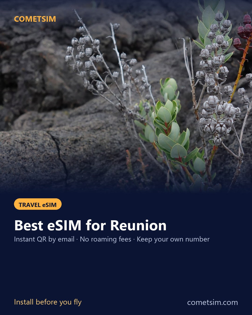 Reunion travel eSIM – instant QR, no roaming fees