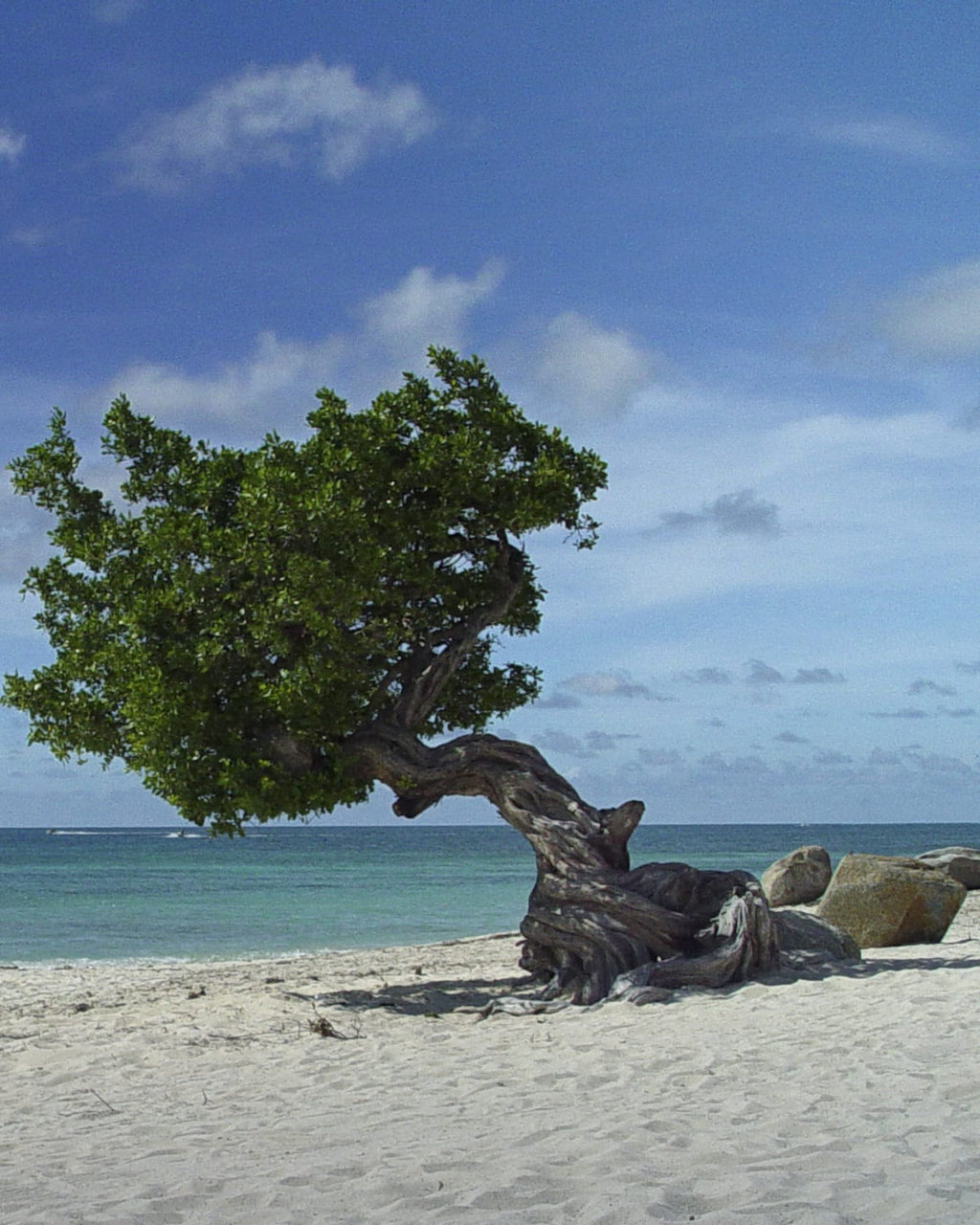Aruba eSIM — Travel Data Plan