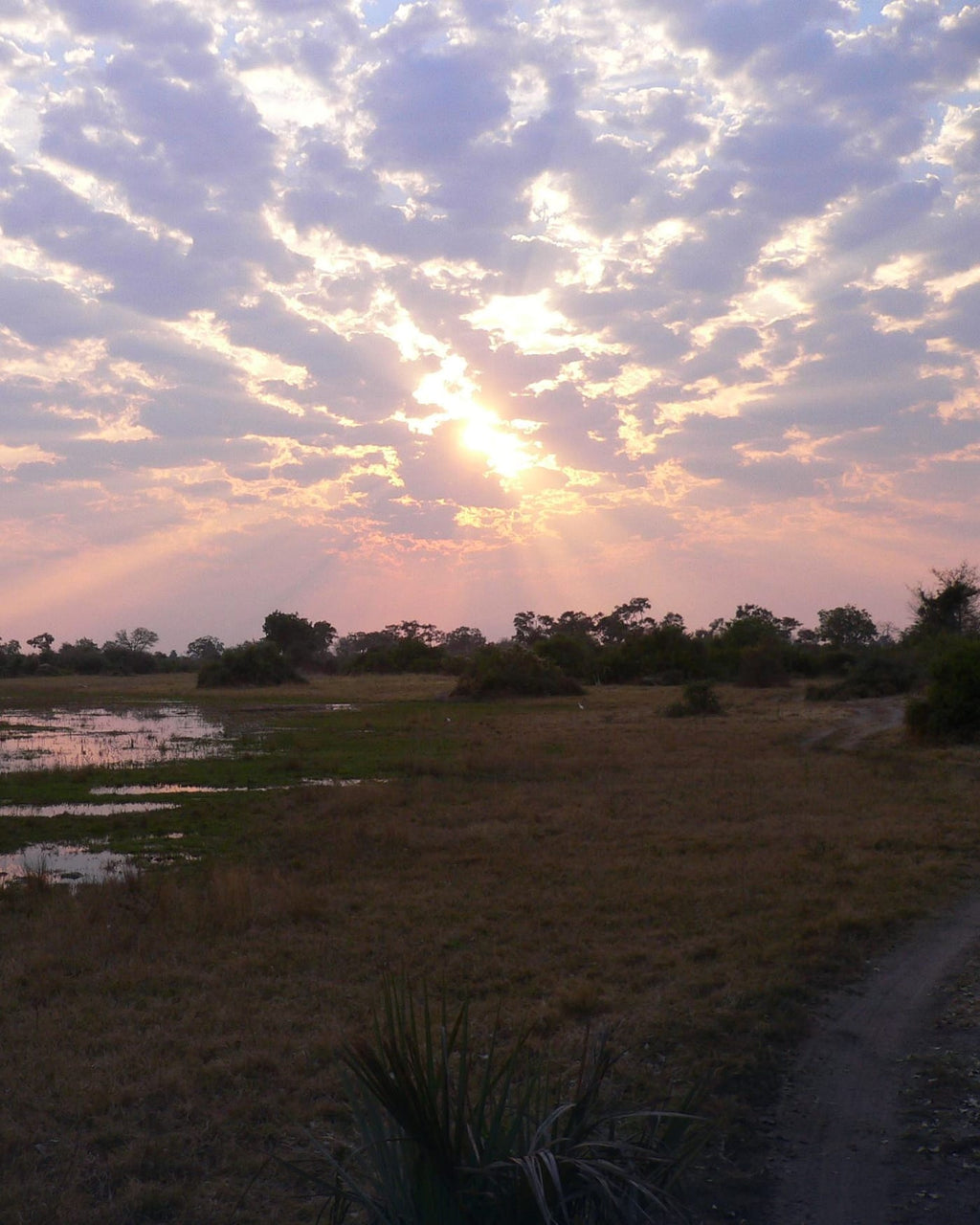 Botswana eSIM — Travel Data Plan