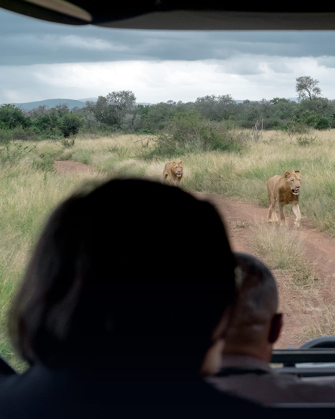 Eswatini eSIM — Travel Data Plan