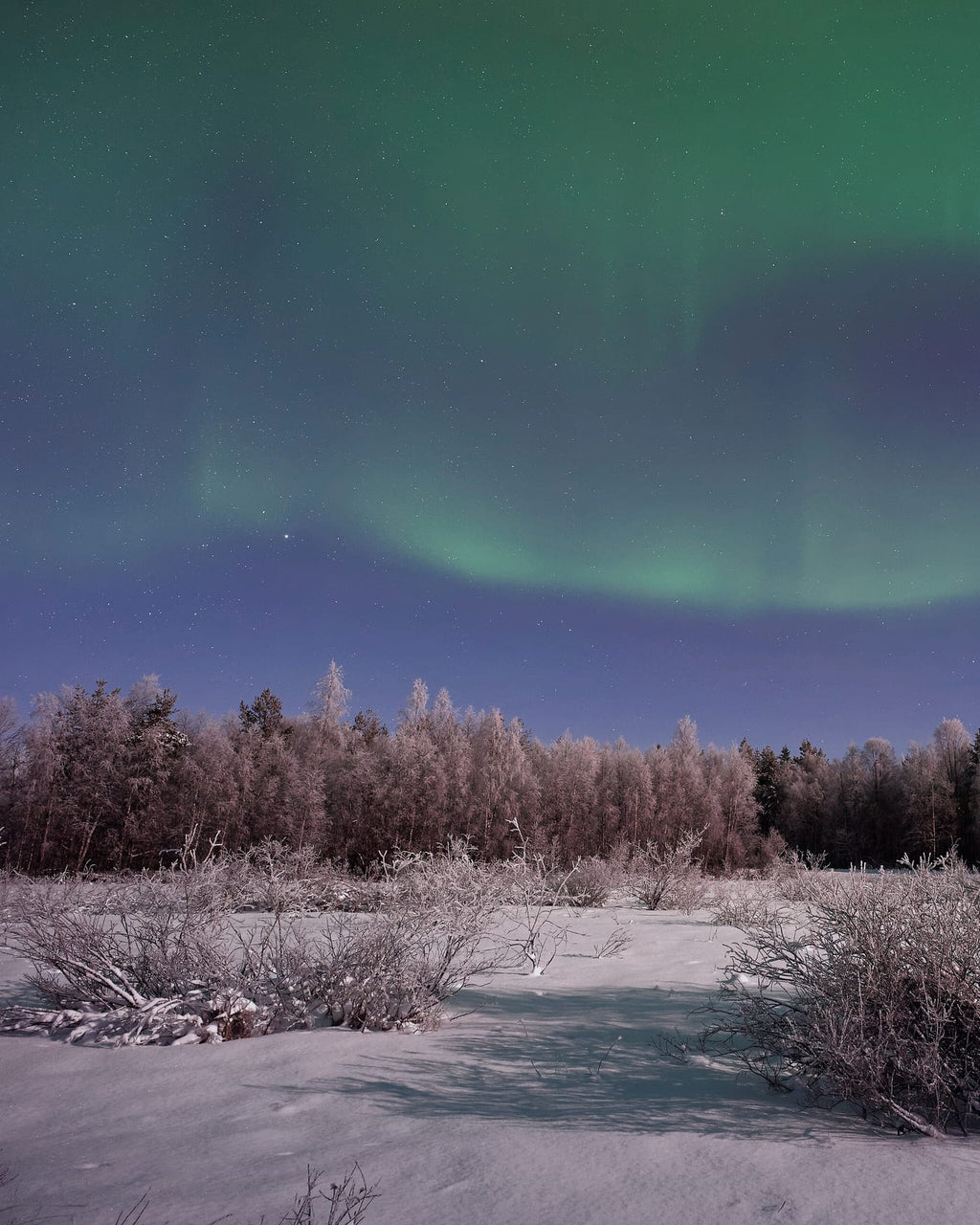 Finland eSIM — Travel Data Plan