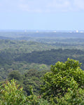 French Guiana eSIM — Travel Data Plan
