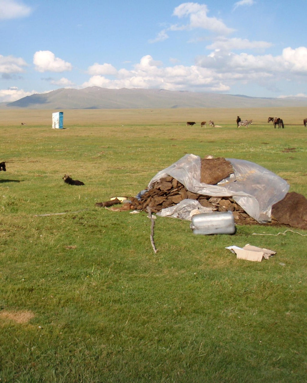 Kyrgyzstan eSIM — Travel Data Plan