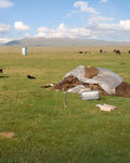 Kyrgyzstan eSIM — Travel Data Plan