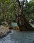 Laos eSIM — Travel Data Plan