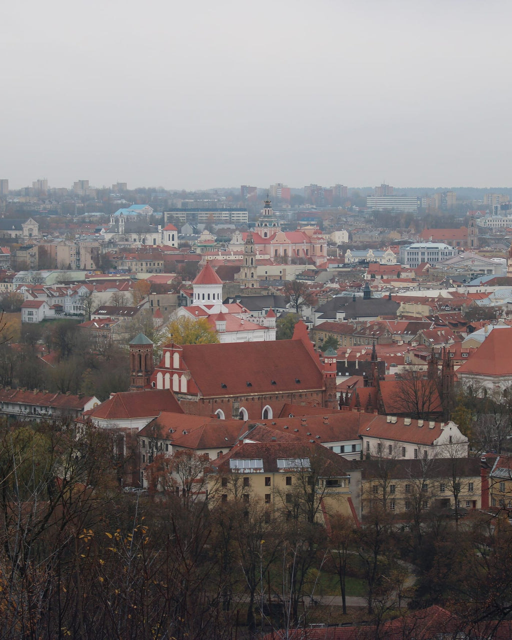 Lithuania eSIM — Travel Data Plan