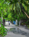 Maldives eSIM — Travel Data Plan