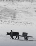 Mongolia eSIM — Travel Data Plan