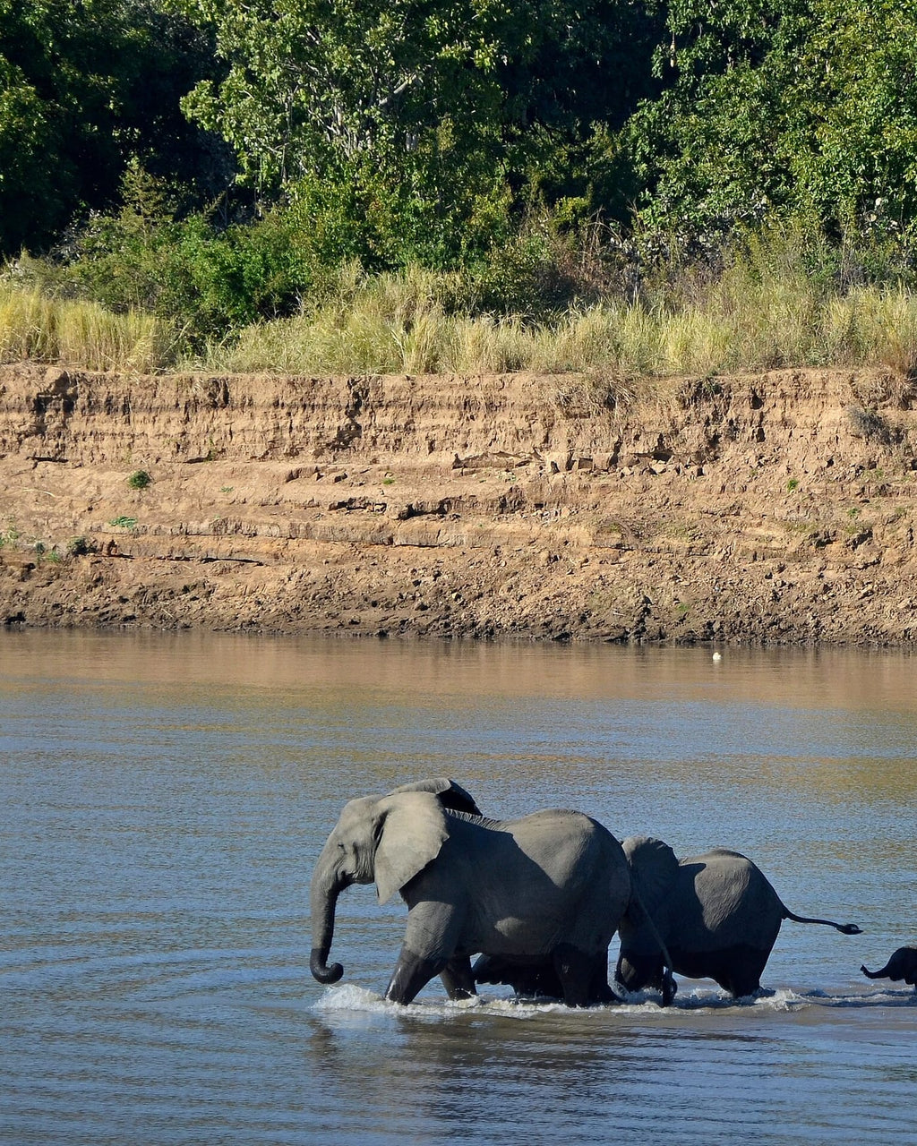 Zambia eSIM — Travel Data Plan